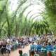 Image for article titled Behold These Incredible Works Of Architecture Made Out Of Living Trees